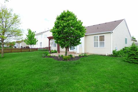 24315 Champion Dr, Plainfield, IL 60585 photo 30