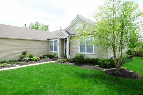 24315 Champion Dr, Plainfield, IL 60585 photo 33