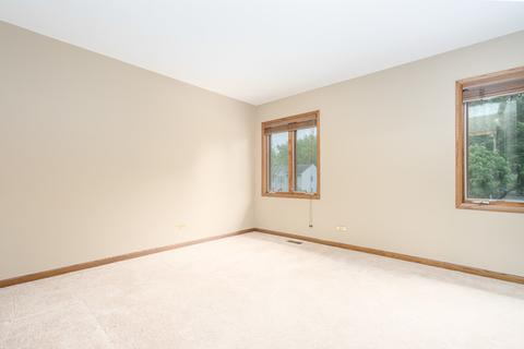 479 Cassin Rd, Naperville, IL 60565 photo 14