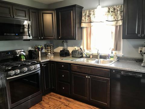 301 E Park Ave, Manlius, IL 61338 photo 10