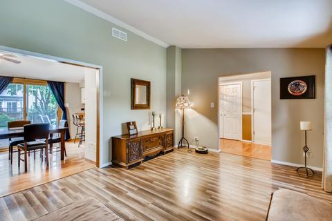 24025 W Pheasant Chase Dr, Plainfield, IL 60544 photo 4