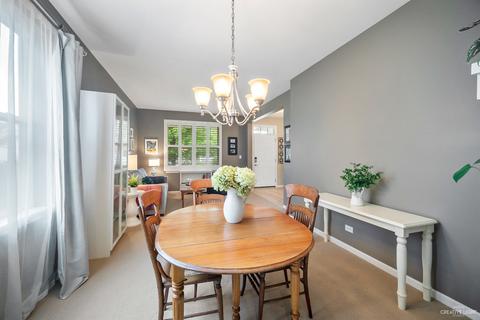 13529 Marigold Rd, Plainfield, IL 60544 photo 8