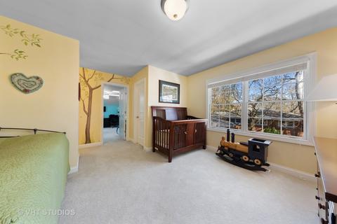 1502 Paula Ave, Wheaton, IL 60189 photo 25