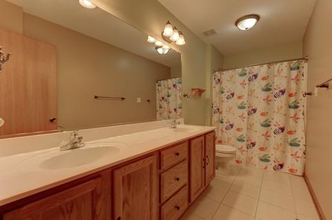 1411 Rolling Pass, Beecher, IL 60401 photo 16
