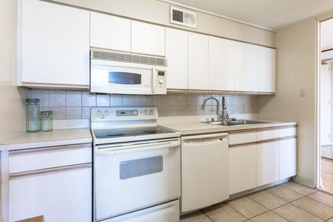 601 E 32nd St #1102, Chicago, IL 60616 photo 16