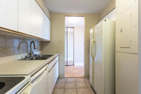 601 E 32nd St #1102, Chicago, IL 60616 photo 15