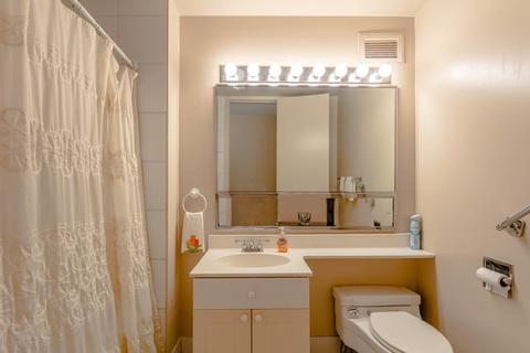 601 E 32nd St #1102, Chicago, IL 60616 photo 14