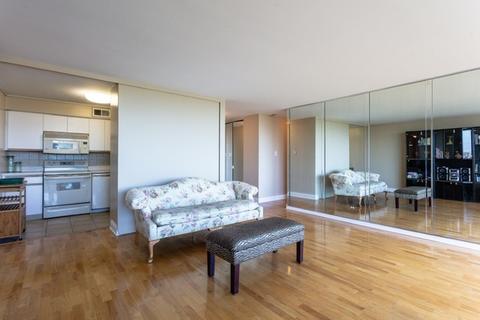 601 E 32nd St #1102, Chicago, IL 60616 photo 8