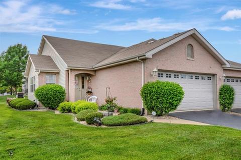 1412 Trailside Dr, Beecher, IL 60401 photo 1