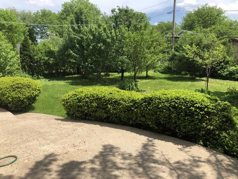 295 6th St, Wheeling, IL 60090 photo 5