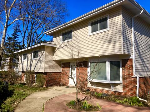 295 6th St, Wheeling, IL 60090 photo 4