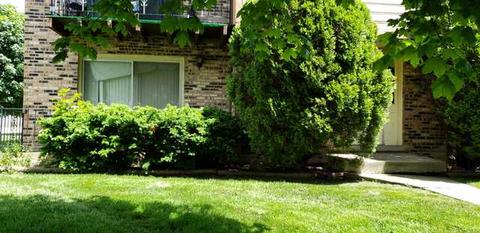 8001 Beloit Ave #1A, Bridgeview, IL 60455 photo 3