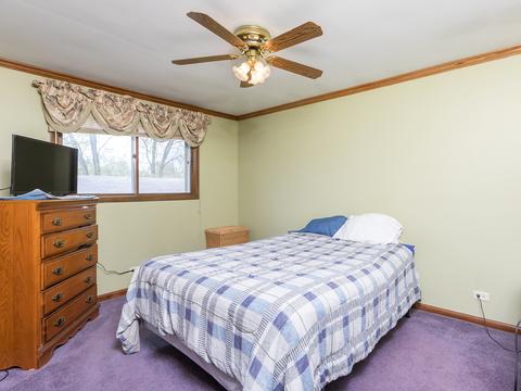 784 Webster Ave, Bartlett, IL 60103 photo 11