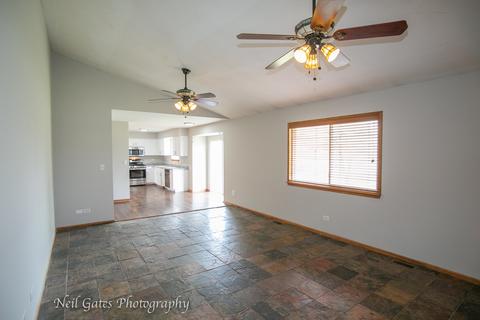 26218 S Cherry Ln, Monee, IL 60449 photo 9