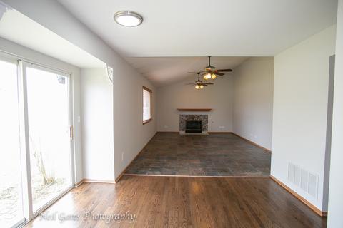 26218 S Cherry Ln, Monee, IL 60449 photo 7