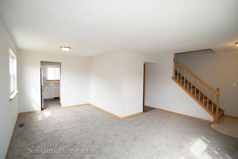 26218 S Cherry Ln, Monee, IL 60449 photo 3