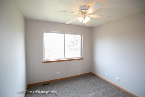 26218 S Cherry Ln, Monee, IL 60449 photo 17
