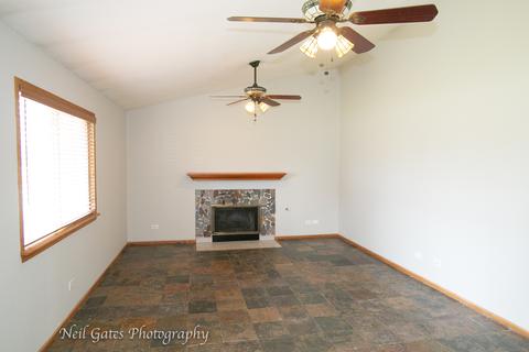 26218 S Cherry Ln, Monee, IL 60449 photo 8