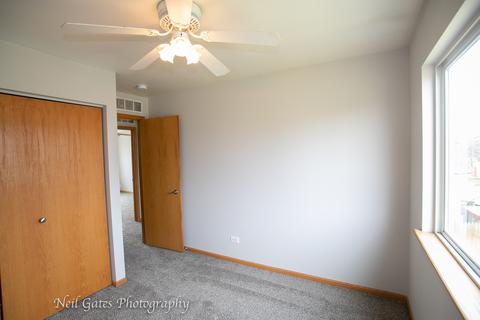 26218 S Cherry Ln, Monee, IL 60449 photo 18