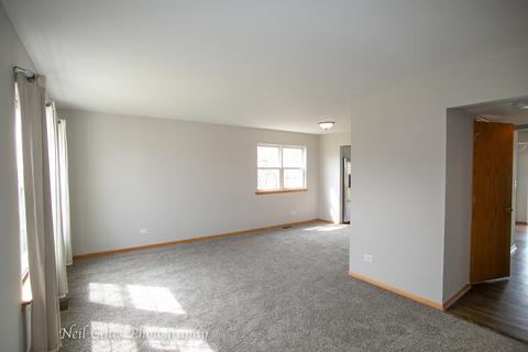 26218 S Cherry Ln, Monee, IL 60449 photo 2