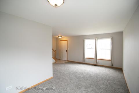 26218 S Cherry Ln, Monee, IL 60449 photo 4