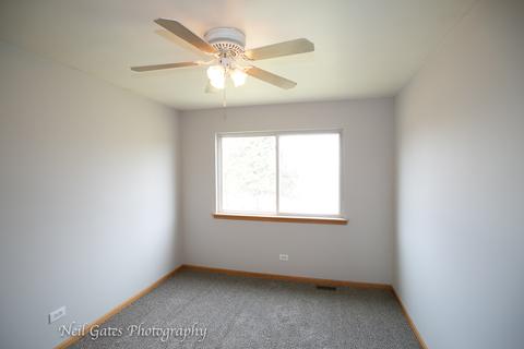 26218 S Cherry Ln, Monee, IL 60449 photo 14