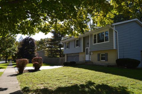 720 Scott St, Algonquin, IL 60102 photo 24