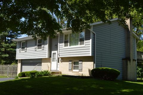 720 Scott St, Algonquin, IL 60102 photo 33