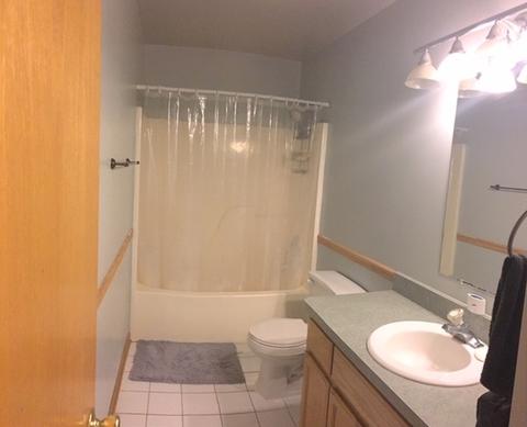 6502 Walter Adamic Ln, Plainfield, IL 60586 photo 16