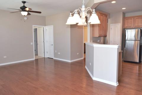 2769 Cascade Falls Cir, Elgin, IL 60124 photo 13