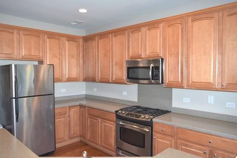 2769 Cascade Falls Cir, Elgin, IL 60124 photo 10