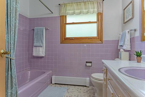 805 E Golfview Dr, Mount Prospect, IL 60056 photo 13