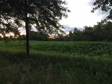 1354 Sublette Rd, Sublette, IL 61367 photo 1
