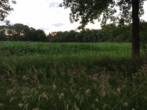 1354 Sublette Rd, Sublette, IL 61367 photo 5