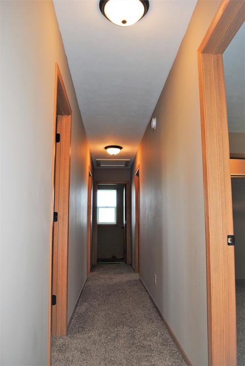 509 E Fifer St, Colfax, IL 61728 photo 9