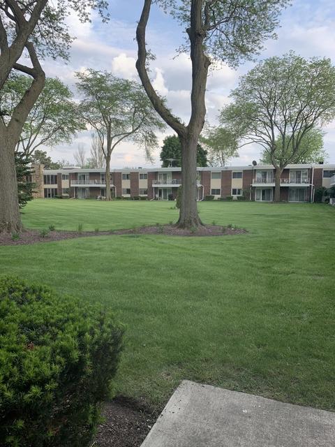 127 N Wolf Rd #36B, Wheeling, IL 60090 photo 19