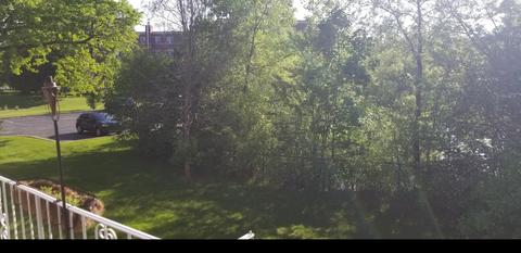 127 N Wolf Rd #36B, Wheeling, IL 60090 photo 16