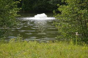 9450 Falling Waters East Rd, Burr Ridge, IL 60527 photo 2