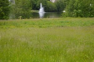 9450 Falling Waters East Rd, Burr Ridge, IL 60527 photo 6
