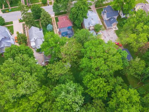 509 N School St, Normal, IL 61761 photo 43