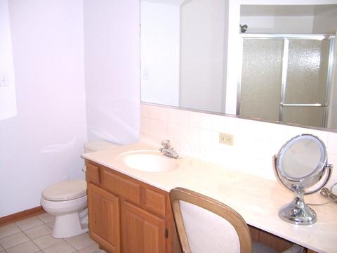 1500 Creekside Dr, Hoffman Estates, IL 60169 photo 14