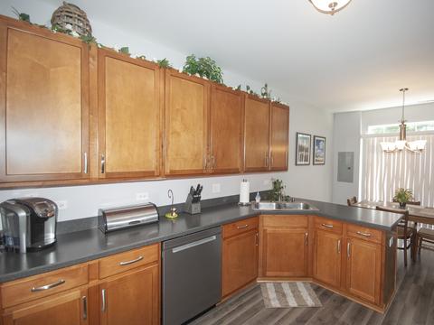 24248 Leski Ln, Plainfield, IL 60585 photo 6