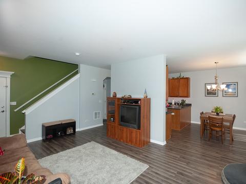 24248 Leski Ln, Plainfield, IL 60585 photo 9