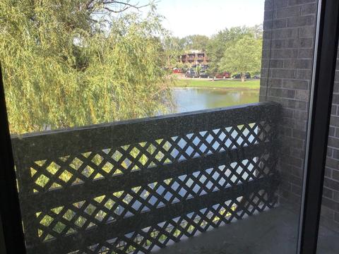 101 Kenneth Cir, Elgin, IL 60120 photo 20