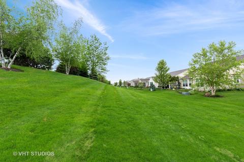 862 Cascade Falls Dr, Elgin, IL 60124 photo 26