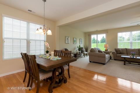 862 Cascade Falls Dr, Elgin, IL 60124 photo 15