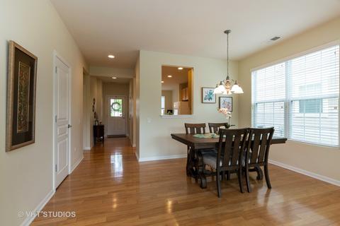 862 Cascade Falls Dr, Elgin, IL 60124 photo 14