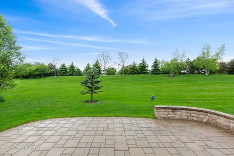 862 Cascade Falls Dr, Elgin, IL 60124 photo 2