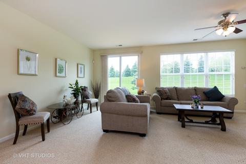 862 Cascade Falls Dr, Elgin, IL 60124 photo 16
