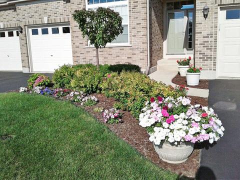915 Eineke Blvd, Algonquin, IL 60102 photo 20